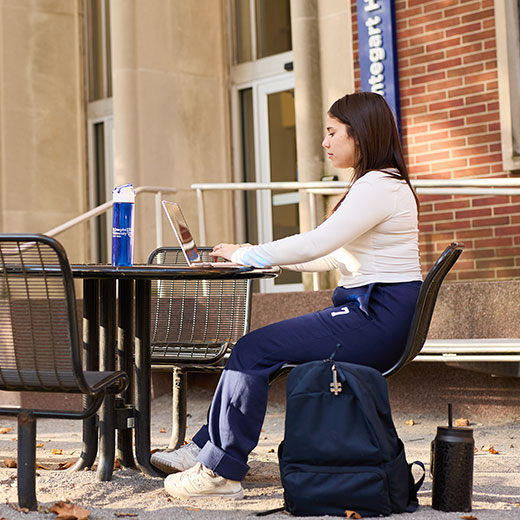 A student studying on a laptop. Links to Gifts That Pay You Income A student studying on a laptop. Links to Gifts That Pay You Income